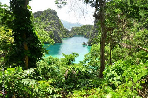 tropical lake in the phillipines