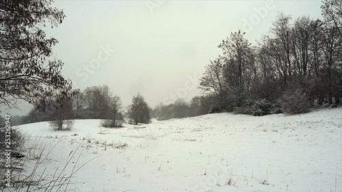 Wallpaper Mural Winter landscape, snow falling in slow motion. Torontodigital.ca