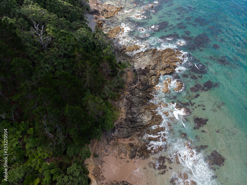 A drone photo of the new zealand coast with forest and ocean