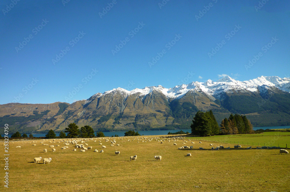 Breathtaking scenery of New Zealand