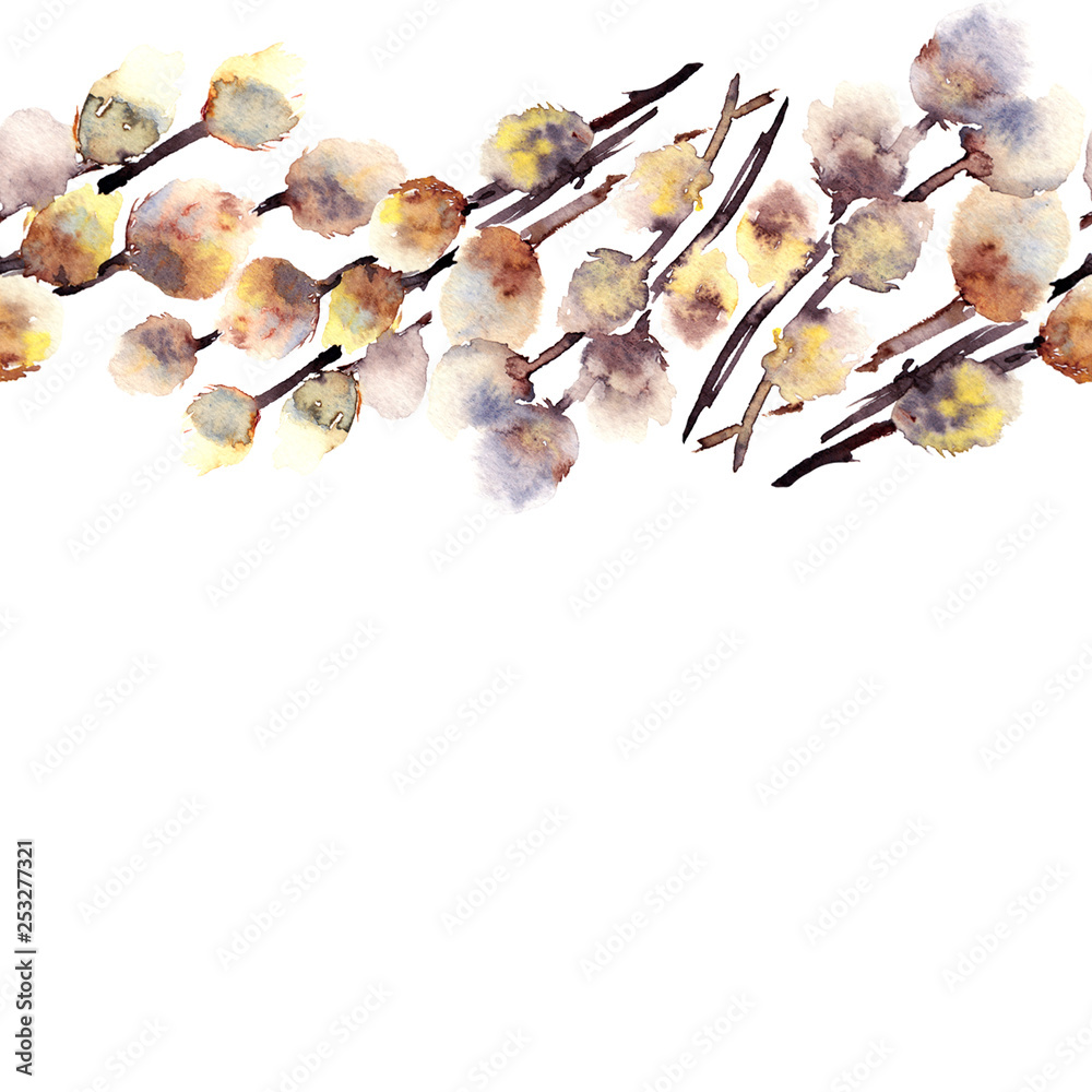 Pussy-willow. Easter postcard. Watercolor drawing of branch of pussy-willow.