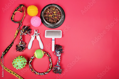 Flat lay composition with accessories for dog and cat, toys, dry food, biscuits, cookies, pet food.