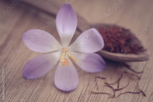 Saffron with crocus flower