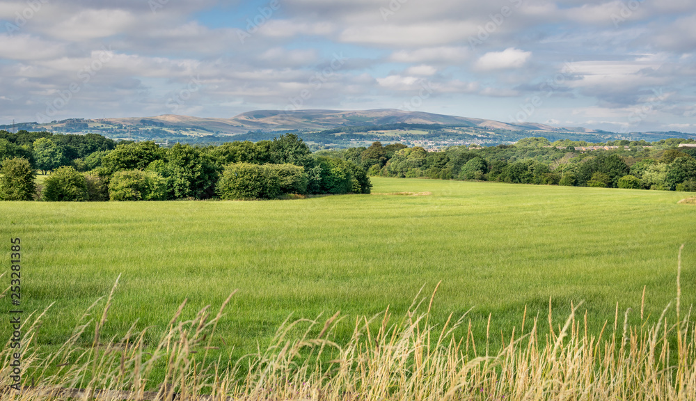 Pendle hill with open fields and a forest. 