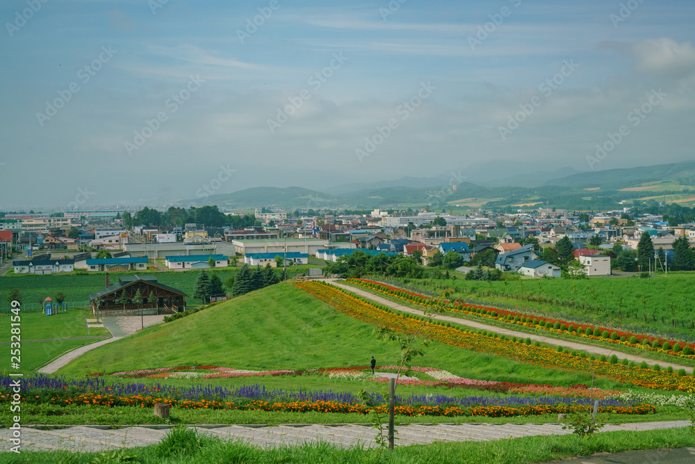 Aerial view of the Furano cityscape with flower blossom below