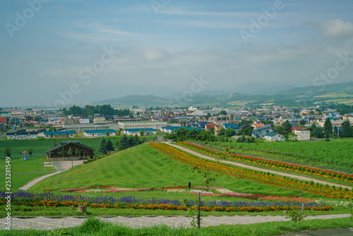 Aerial view of the Furano cityscape with flower blossom below © Kit Leong