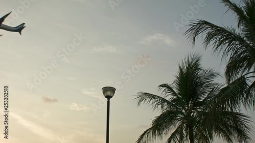 The plane flies over trees in the Changi