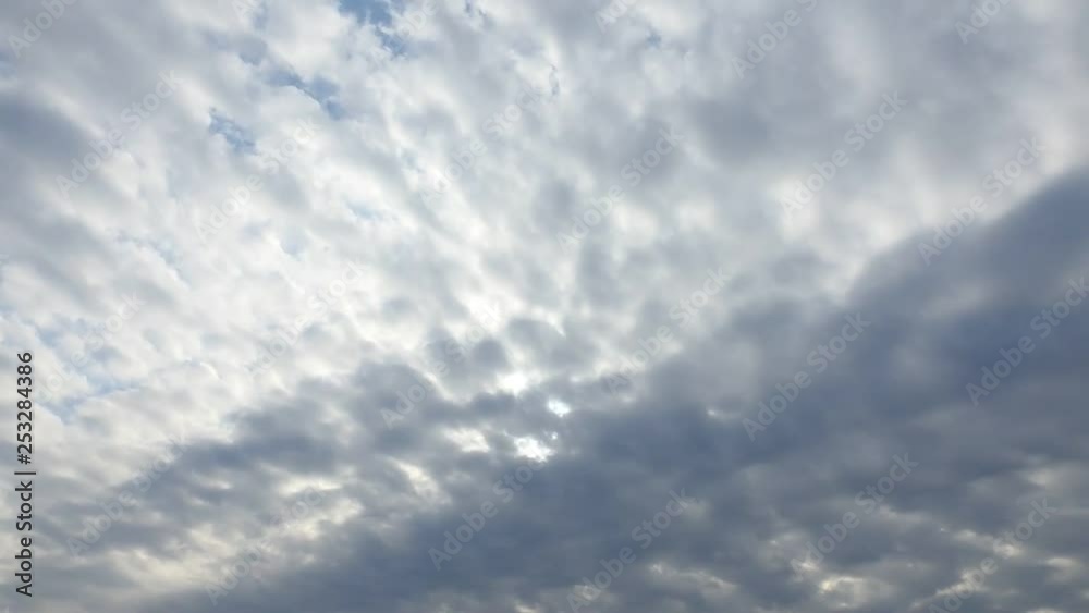 曇りです、鳥が横切ります。空のタイムラプス動画 曇りです、鳥が横切ります。空のタイムラプス動画