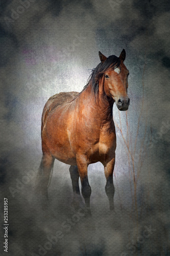 Welsh cob pony horse with a moody misty  grungy texture background