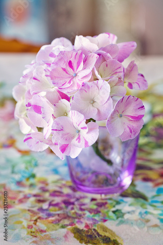 Photo of a beautiful purple pansy flowers close-up in a mug on a colorful background. Beautiful and delicate flowers.