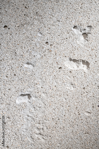 concrete detail bakcground. grunge wall cement texture