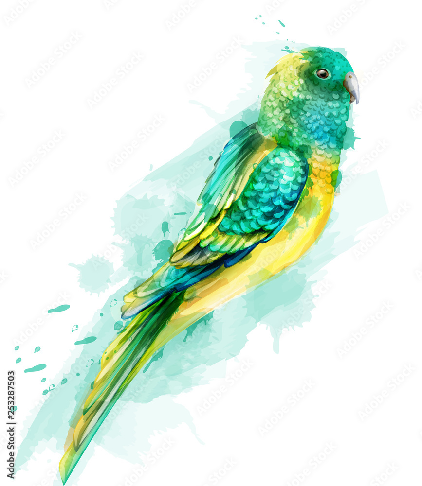Obraz premium Tropic colorful parrot bird Vector watercolor. Cute bird illustration. blue colors splashs