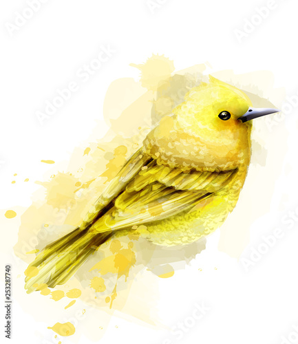Cute yellow bird watercolor Vector isolated on white. Vintage designs