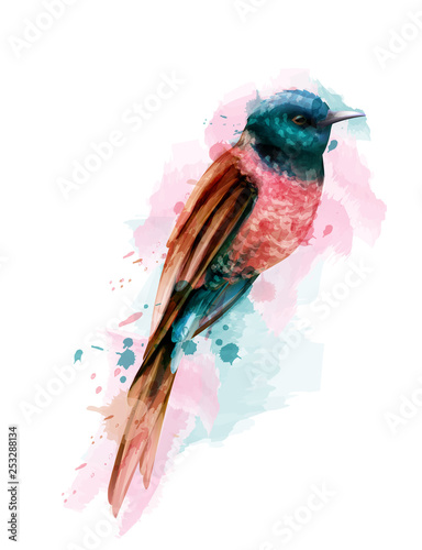 Tropic colorful small bird Vector watercolor. Cute bird illustration. blue co...