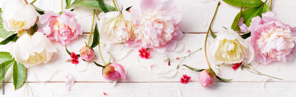 Delicate white pink peony with petals flowers and white ribbon on wooden board. Overhead top view, flat lay. Copy space.