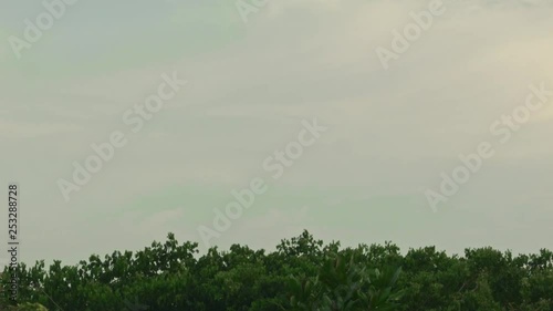 the plane low landing in the Changi