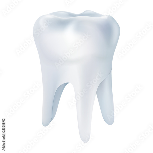 Realistic tooth poster. Illustrations isolated on white background. Graphic concept for your design