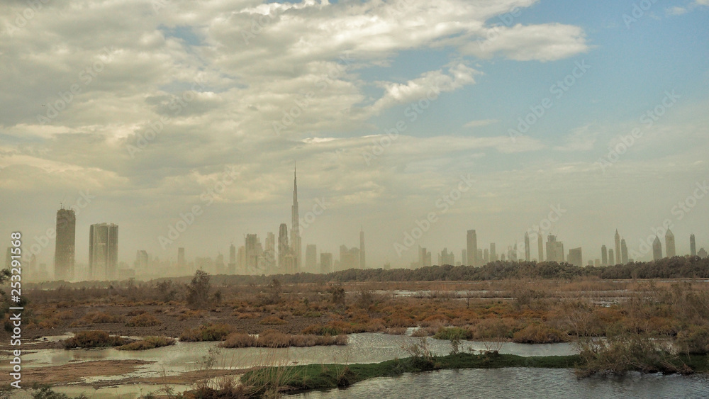 Ras Al Khor Wildlife Sanctuary. Dubai. UAE