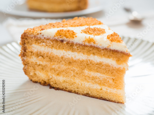 Piece of delicious cake. Delicate honey cake and sour cream. Dessert on a plate and white background