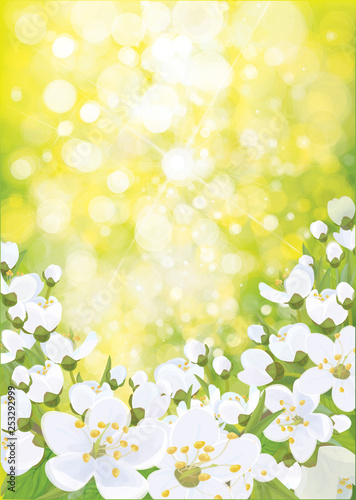 Vector spring blossoming tree background.