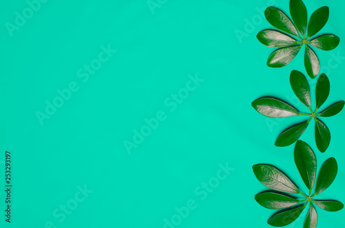 Three green leaves in the shape of fingers are on colored background