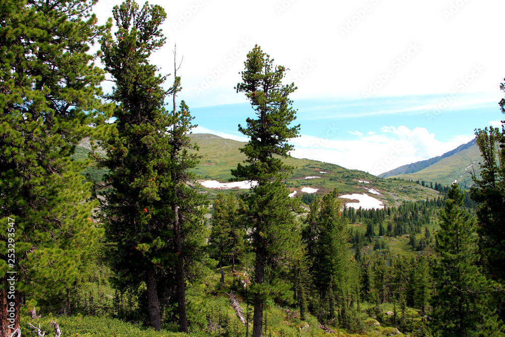 The views of the National park Ergaki in Russia The views of the National park Ergaki in Russia