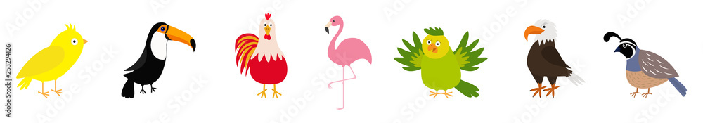 Fototapeta premium Bird set line. Canary, toucan, cock rooster, parrot, flamingo, eagle, quail. Cute cartoon characters icon. Baby animal zoo collection Isolated White background Flat design