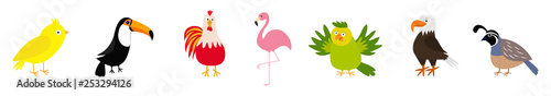 Bird set line. Canary, toucan, cock rooster, parrot, flamingo, eagle, quail. Cute cartoon characters icon. Baby animal zoo collection Isolated White background Flat design