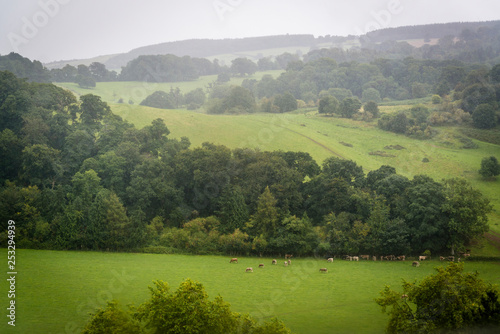 View of the idyllic English countryside from, Dunster Castle, Somerset, England UK