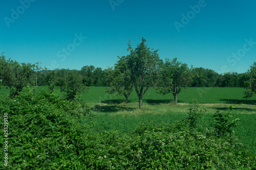 Italy,La Spezia to Kasltelruth train, a large green field with trees in the background