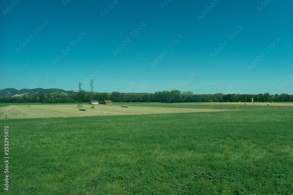 Italy,La Spezia to Kasltelruth train, a close up of a lush green field Italy,La Spezia to Kasltelruth train, a close up of a lush green field