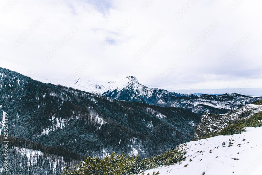 Mountain peaks in Zakopane and in Poland covered with fresh snow in the daytime with blue sky