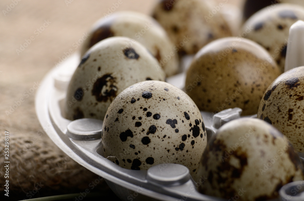 Obraz premium Fresh organic quail eggs in plastic tray on hemp fabric burlap. Space for text
