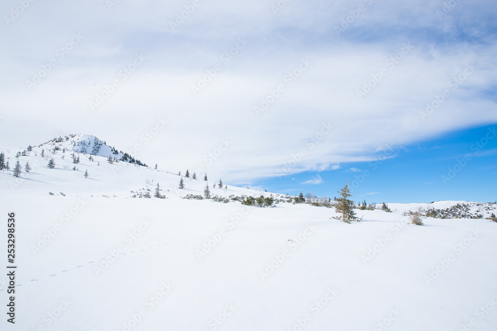 Mountains in Zakopane and Poland covered with fresh snow on a sunny day