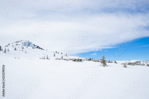 Mountains in Zakopane and Poland covered with fresh snow on a sunny day