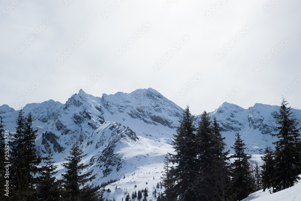 Landscape view of mountain tops in the Zakopane and in Poland area covered with fresh snow during a sunny day Landscape view of mountain tops in the Zakopane and in Poland area covered with fresh snow during a sunny day