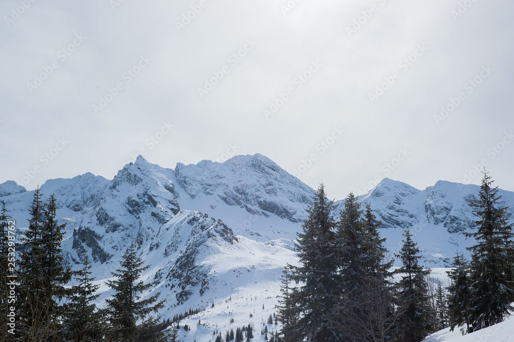 Landscape view of mountain tops in the Zakopane and in Poland area covered with fresh snow during a sunny day