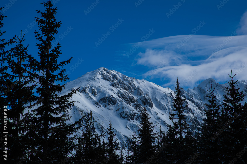 Obraz premium View on top of the mountains in the Zakopane area in Poland covered with fresh snow on the day with blue sky