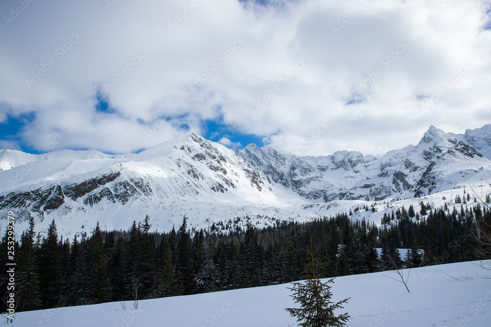 View on top of the mountains in the Zakopane area in Poland covered with fresh snow on the day with blue sky View on top of the mountains in the Zakopane area in Poland covered with fresh snow on the day with blue sky