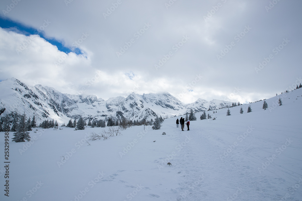 Snow covered mountains in the Zakopane and Poland area covered with fresh snow during a sunny day