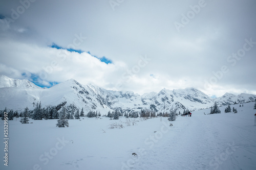 Snow covered mountain peaks in Zakopane and in Poland cover with fresh snow on a sunny day