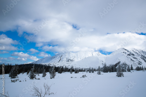 Snow covered mountain peaks in Zakopane and in Poland cover with fresh snow on a sunny day © Lukas