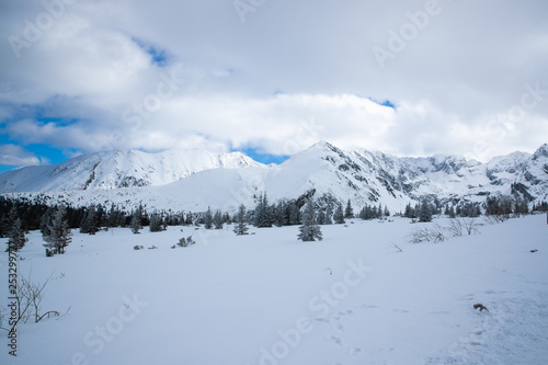Snow covered mountain peaks in Zakopane and in Poland cover with fresh snow on a sunny day © Lukas