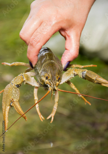 River cancer in hand.