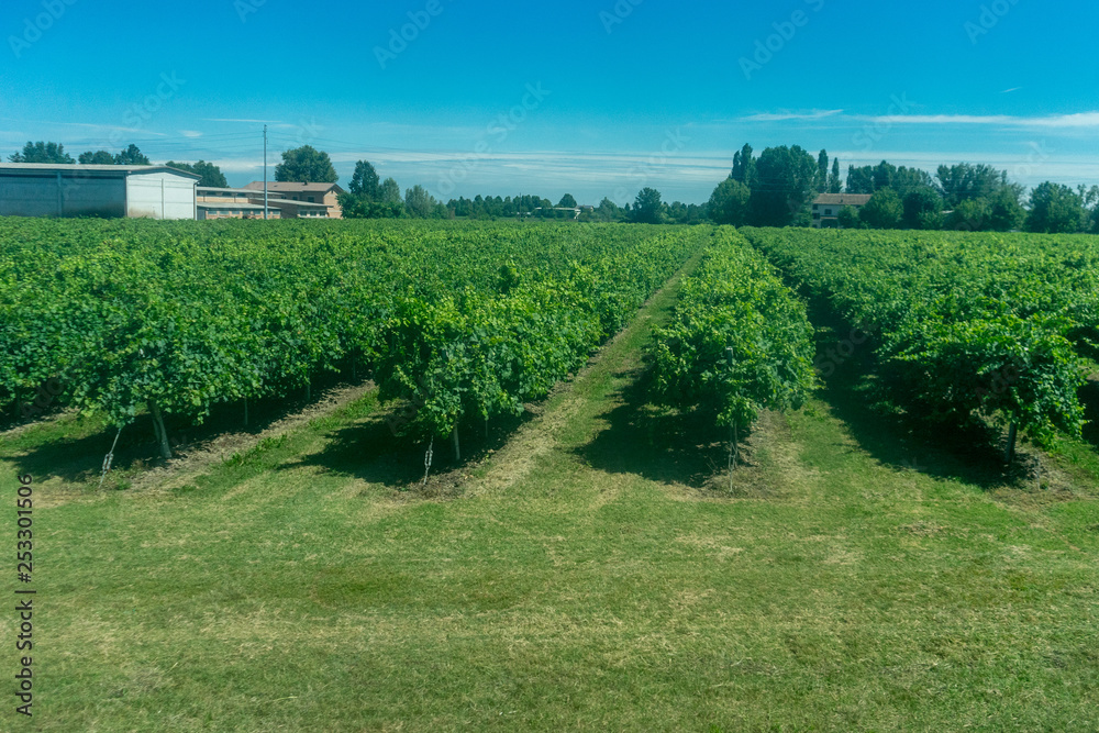 Naklejka premium Italy,La Spezia to Kasltelruth train, a large green field with trees in the background