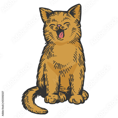 Yawning cat color sketch engraving vector illustration. Scratch board style imitation. Black and white hand drawn image.