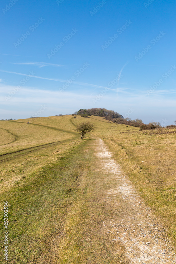 Looking along a chalk pathway in the South Downs in Sussex, on a sunny winters day