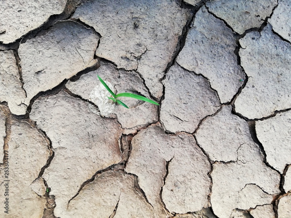 Fototapeta premium Vida más allá...