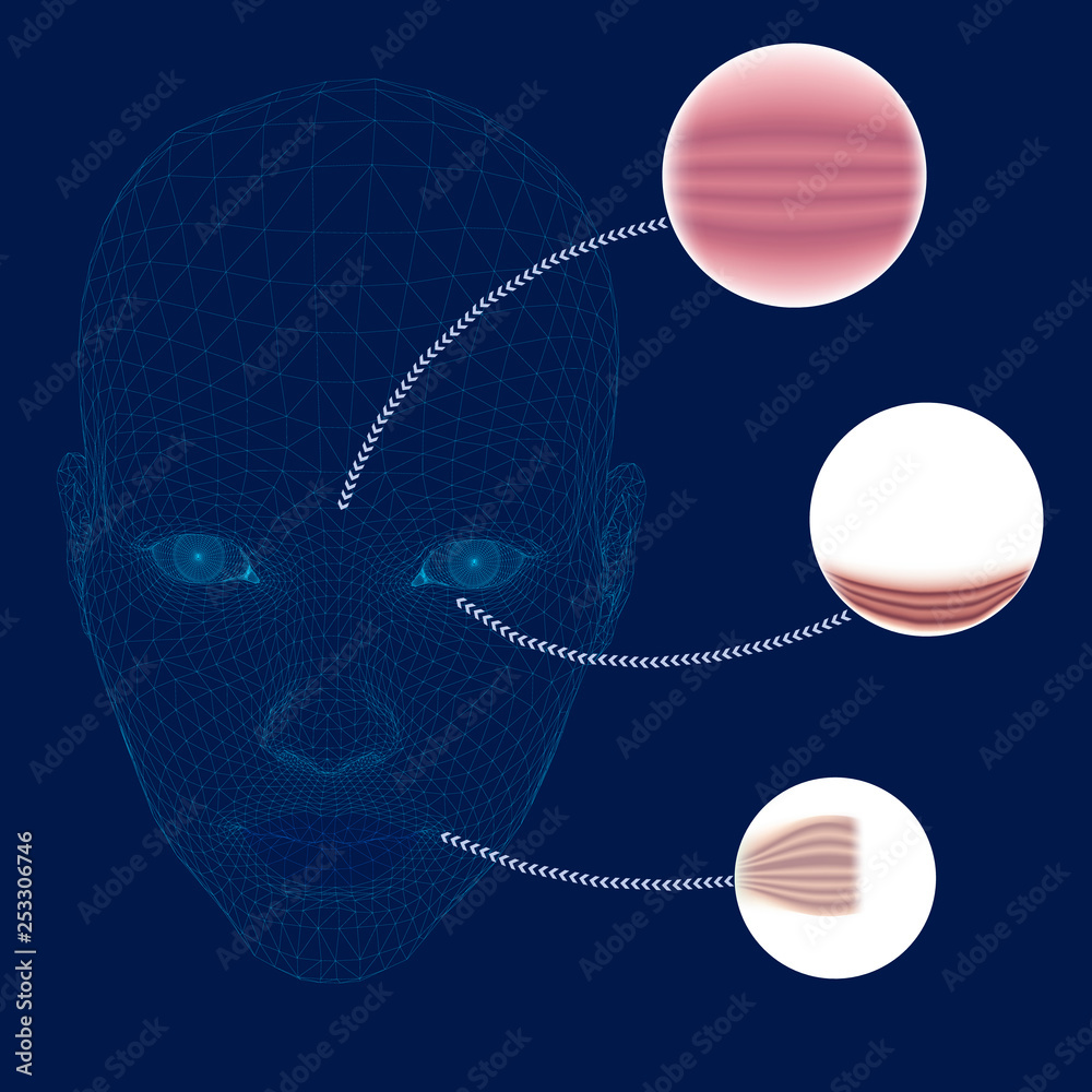 Wireframe of girl head of blue lines on a dark background. Polygonal face of a girl with arrows with increasing skin scale. Enlarged wrinkles and folds of female face. 3D. Vector illustration