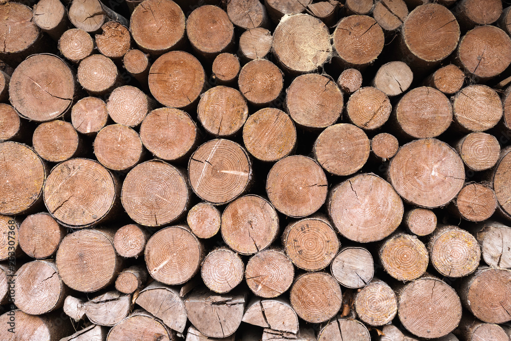 stacked tree trunks, background, wallpaper 